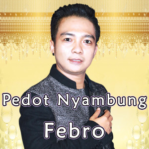 Listen to Pedot Nyambung song with lyrics from Febro D'academy