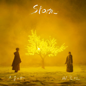 收聽吳青峰的Storm歌詞歌曲