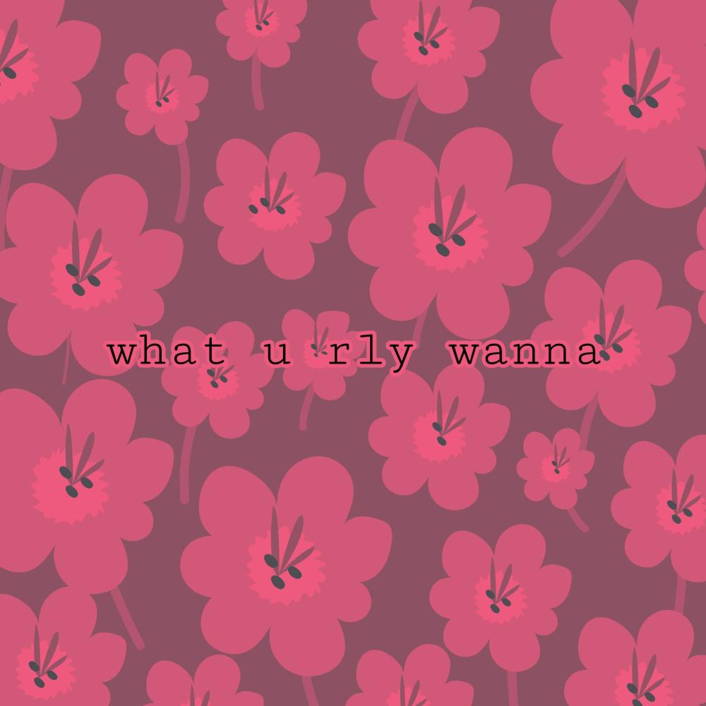 what u rly wanna (Explicit)