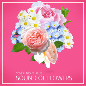 รวมศิลปิน的專輯COVER NIGHT PLUS SOUND OF FLOWERS