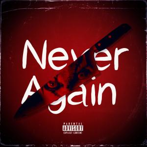 收聽KingHieFex的Never Again  (Explicit)歌詞歌曲