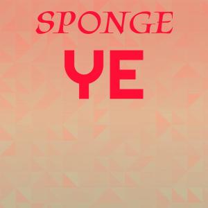 อัลบัม Sponge Ye ศิลปิน Various