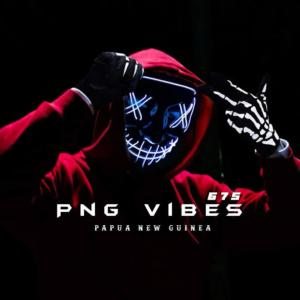 อัลบัม PUSH BVCK - Ricky T x Razy NKV (675 Remix) ศิลปิน PNG VIBES