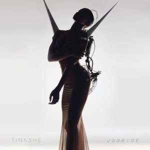 ดาวน์โหลดและฟังเพลง No Contest พร้อมเนื้อเพลงจาก Tinashe