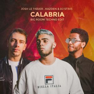 DJ St3v3的專輯Calabria (Big Room Techno Edit)