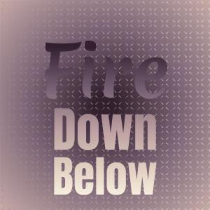Album Fire Down Below from Silvia Natiello-Spiller