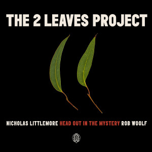 Listen to Stellar Light song with lyrics from Nicholas Littlemore's The Two Leaves Project