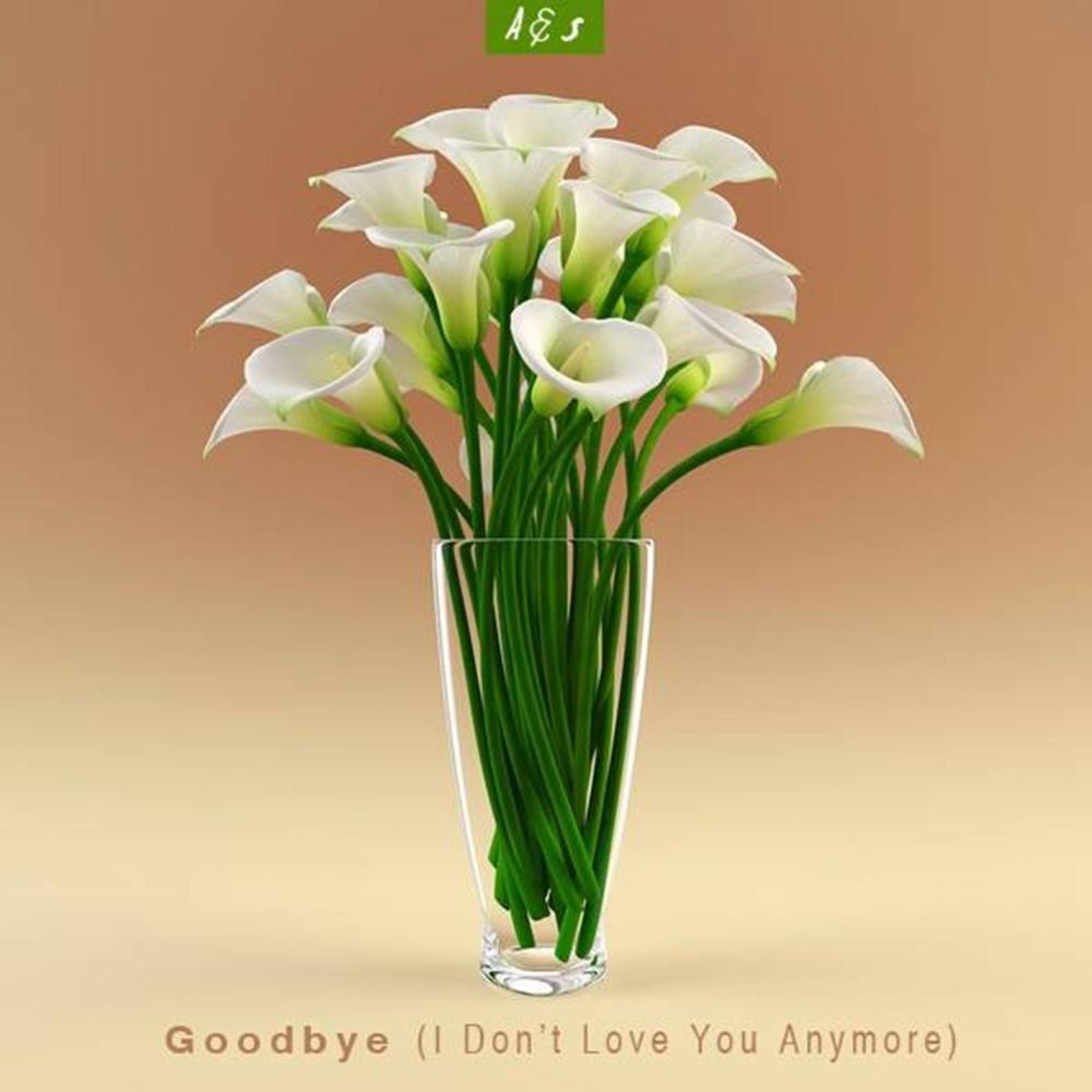 Goodbye(with So Sus) (Original Mix)