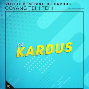 Dengarkan Goyang Tehi Tehi (Slow Mix|feat. DJ Kardus) lagu dari Ritchy DTM dengan lirik