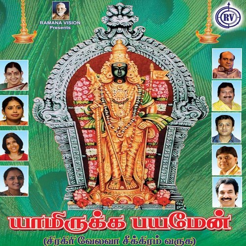 Panniri Karathai - Virutham