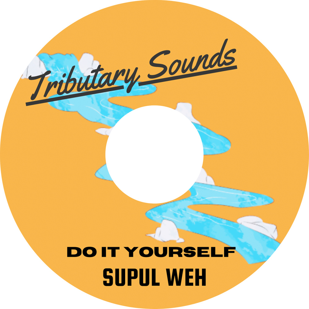 Dub It Yourself