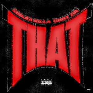 ดาวน์โหลดและฟังเพลง That (feat. Chief Zoe) (Explicit) พร้อมเนื้อเพลงจาก Soulja Rilla