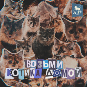 Bubble Bath Cat的专辑Возьми котика домой
