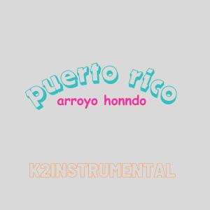 Varios的專輯puerto rico arroyo hondo (feat. varios)