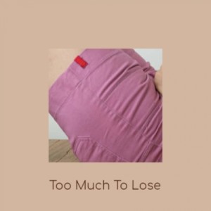 Various Artist的專輯Too Much To Lose