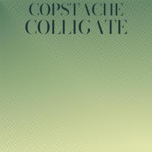 Album Copstache Colligate oleh Various