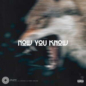 Lil Spacely的專輯Now You Know (feat. Rydah, Lil Spacely & Steez Malase) (Explicit)