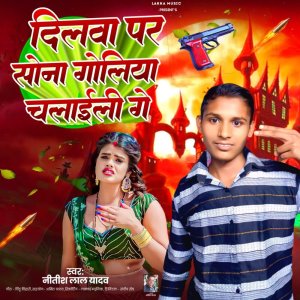 ดาวน์โหลดและฟังเพลง Dilwa Pr Sona Goliya Chalaili Ge พร้อมเนื้อเพลงจาก Nitish Lal Yadav