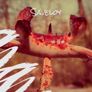 Album Saveloy from Various