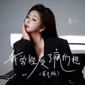 Album 我曾经发了疯的想（菲儿版） from 菲儿