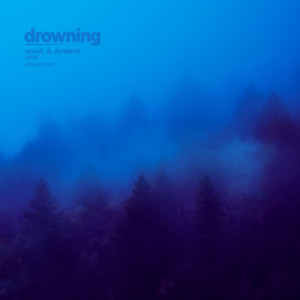 vowl.的專輯drowning (Remixes)