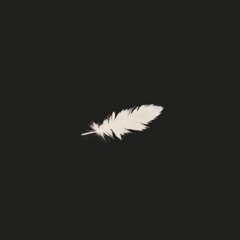 Feather Flight (feat. jayonetime) (Explicit)