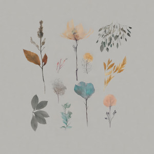 收聽Olma的Mesic (Remix)歌詞歌曲