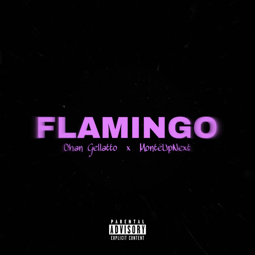 FLAMINGO (feat. Montèupnext) (Explicit)