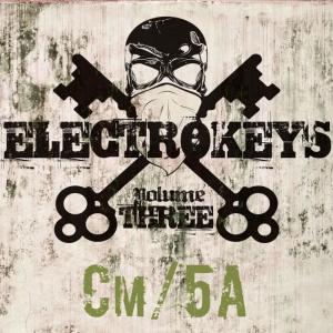 Various Artists的專輯Electro Keys Cm/5a Vol 3