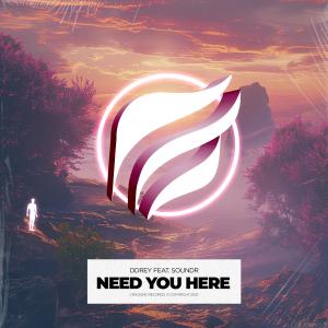 收聽DDRey的Need You Here (feat. SOUNDR)歌詞歌曲