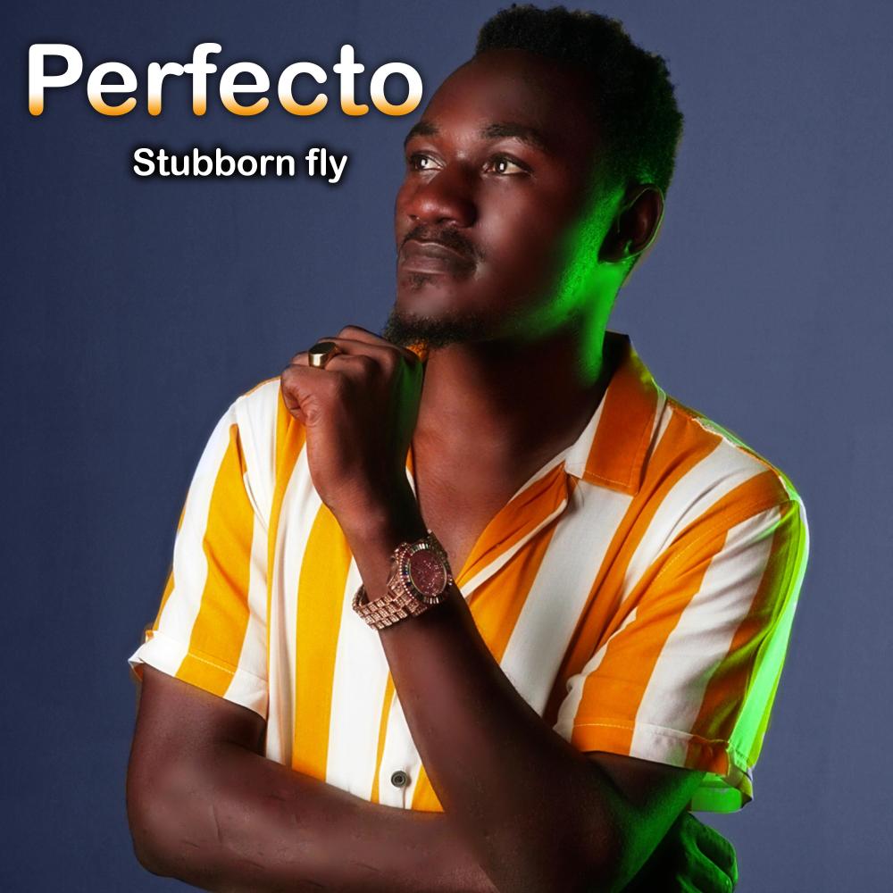 Stubborn fly