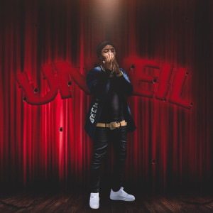 Album Unveil (Explicit) from Triggs