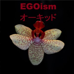 อัลบัม オーキッド (Explicit) ศิลปิน Egoism