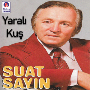 收聽Suat Sayın的Dünya budur歌詞歌曲