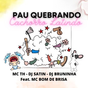 Listen to Pau Quebrando Cachorro Latindo (Explicit) song with lyrics from DJ SATIN