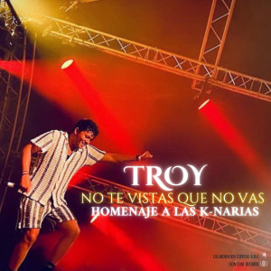 Troy的专辑No Te Vistas Que No Vas (Cover)
