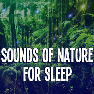 Natural Sounds的專輯Sounds Of Nature For Sleep