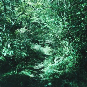 Listen to 歩風 song with lyrics from Ironomi