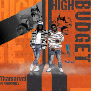 Thamarvel的專輯High Budget