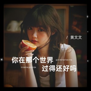 Album 你在那个世界过得还好吗 from 黄文文