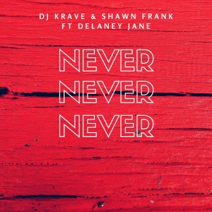Dj Krave的专辑Never (feat. Shawn Frank, Delaney Jane)