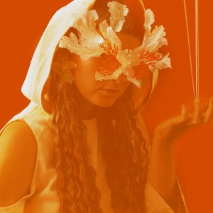 Album Firewood from Synne Sanden