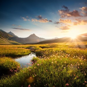 default playlist img