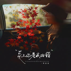 อัลบัม 爱上你是我的错 ศิลปิน 李发发