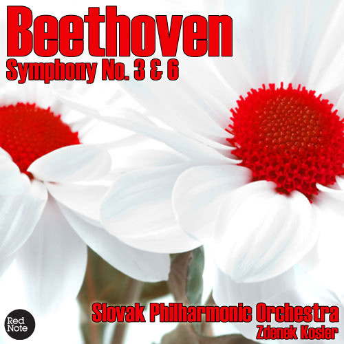 Symphony No. 3 (Eroica) in E Flat major, Op. 55: IV. Finale: Allegro molto