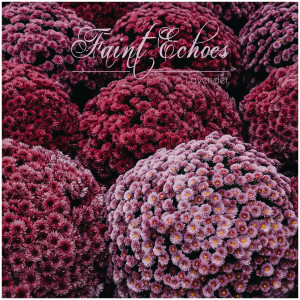 Album Lavender oleh faint echoes