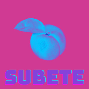 อัลบัม Subete (Tech Remix) ศิลปิน DJ Fronteo