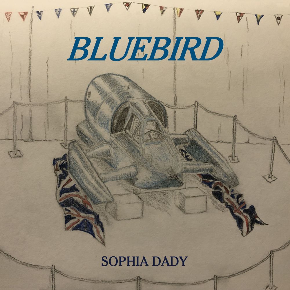 Bluebird (Radio Edit)