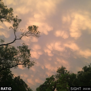 Album 2023B (Sight) from 