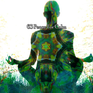 Yoga Sounds的專輯63 Peace For Calm